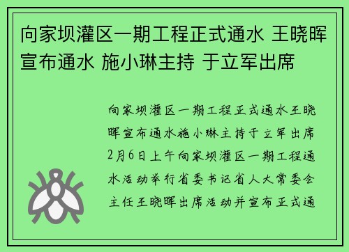 向家坝灌区一期工程正式通水 王晓晖宣布通水 施小琳主持 于立军出席
