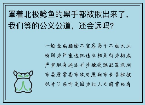 罩着北极鲶鱼的黑手都被揪出来了,我们等的公义公道,还会远吗?
