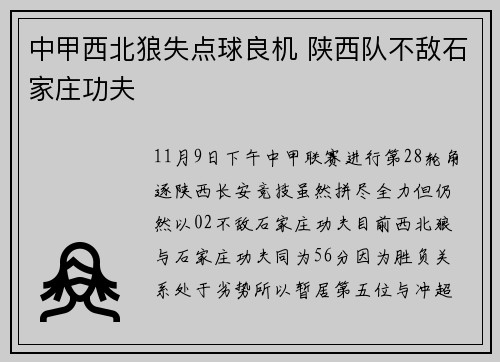 中甲西北狼失点球良机 陕西队不敌石家庄功夫