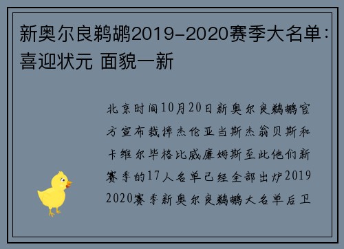 新奥尔良鹈鹕2019-2020赛季大名单:喜迎状元 面貌一新